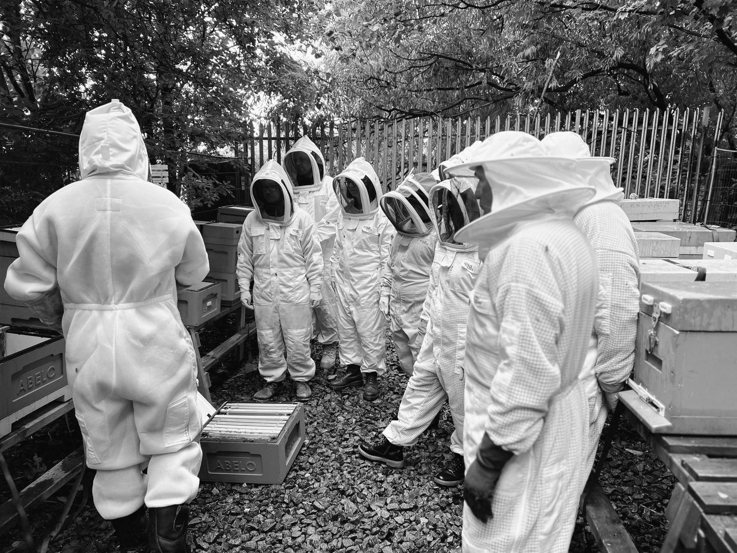 Autumn Beekeeping Quick Recap Course: Preparing Your Colony for Winter